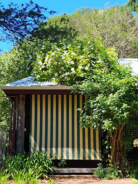 Redgum Hill Country Retreat - Whitsundays Accommodation 3