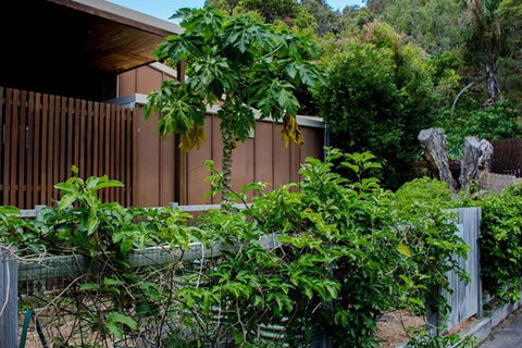 Sand Dweller Holiday Villa Point Lookout - Whitsundays Accommodation 1