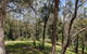 Romantic Cabin Escapes Barrington Tops - Lorikeet - thumb 1