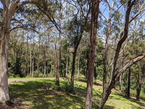 Romantic Cabin Escapes Barrington Tops - Lorikeet - Whitsundays Accommodation 1