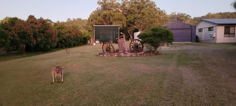 Roo Or 2 On Streeter - Whitsundays Accommodation 2