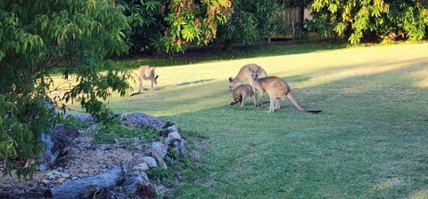 Roo Or 2 On Streeter - Whitsundays Accommodation 3