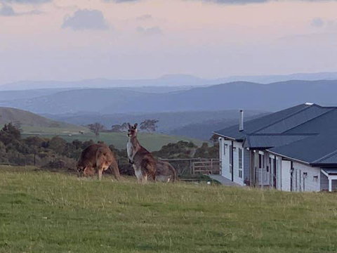 Rooks Edge - Whitsundays Accommodation 0