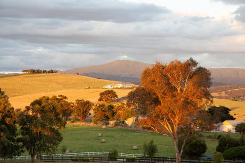 Rose Cottage Yarra Glen - Whitsundays Accommodation 1