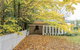 Rose Cottage - Mayfield Vineyard Orange - thumb 1