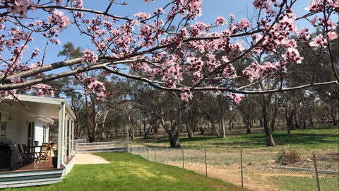 Rosewood Cottage - Whitsundays Accommodation 3