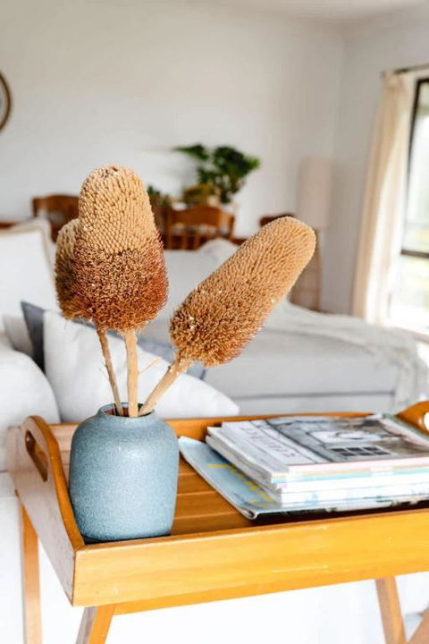 Salt Bush Cottage Peterborough - Whitsundays Accommodation 1