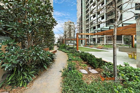 Sakura Apartment - Whitsundays Accommodation 3