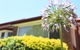 Sydney, Bexley North Holiday Home 3bedrooms, Free Parking, Close To Train Station And CBD - thumb 1