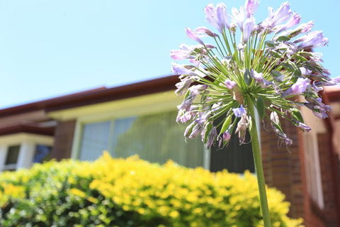 Sydney, Bexley North Holiday Home 3bedrooms, Free Parking, Close To Train Station And CBD - Whitsundays Accommodation 1