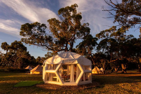 Taj Mahal Upgraded Hex Bubble - Whitsundays Accommodation 0