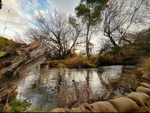 The Bushmill Cottage - Whitsundays Accommodation 3