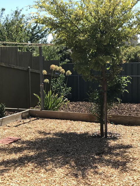 Beatty Cottage - Whitsundays Accommodation 2