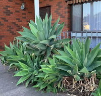 Beautiful Bedroom in Bentleigh East - Whitsundays Accommodation