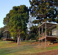 Beechmont Bean Cabins - Whitsundays Accommodation