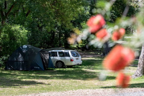 Belair National Park Holiday Park - Whitsundays Accommodation 0
