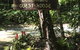 Bellarose Guest House - thumb 3
