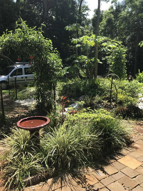 Bellarose Guest House - Whitsundays Accommodation 1