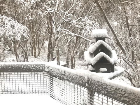 Belltrees - Whitsundays Accommodation 1