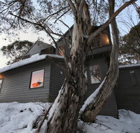 Belltrees - Whitsundays Accommodation