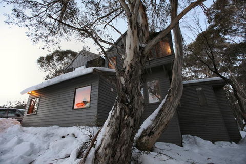 Belltrees - Whitsundays Accommodation 0