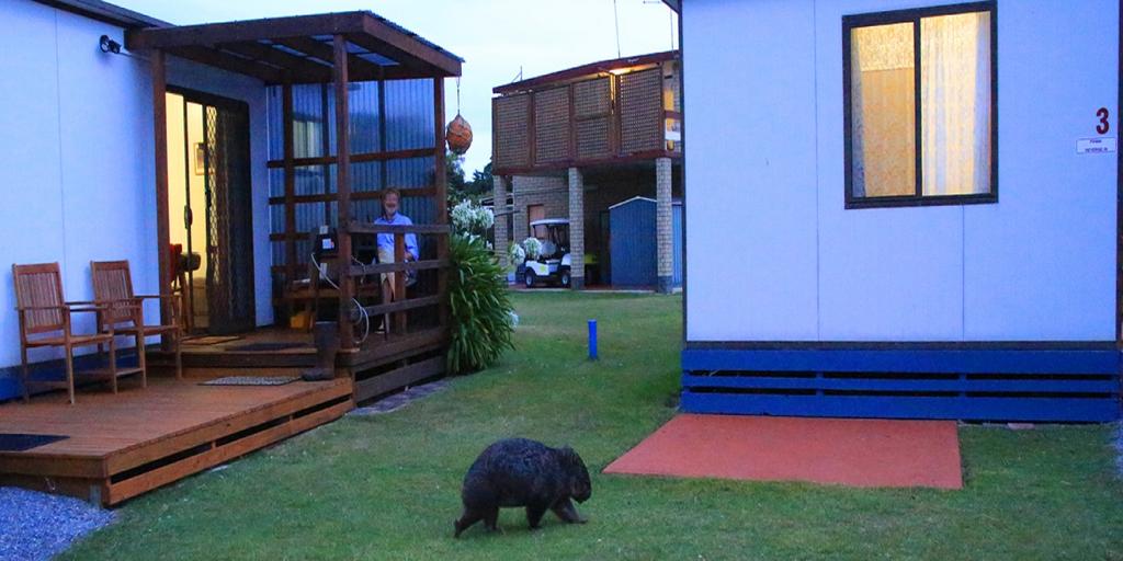 Kelso TAS Whitsundays Accommodation