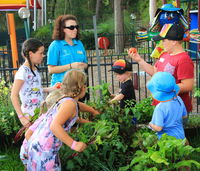 Book Lemon Tree Passage Accommodation Vacations Whitsundays Accommodation Whitsundays Accommodation