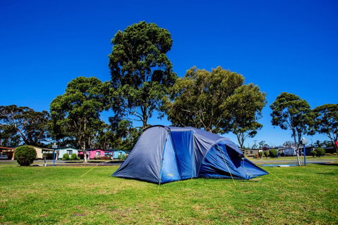 BIG4 Traralgon Park Lane Holiday Park - Whitsundays Accommodation 2