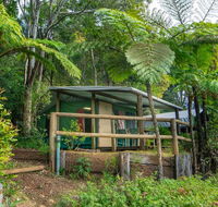 Binna Burra Rainforest Campsite - Whitsundays Accommodation