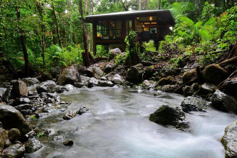 Black Palm Cape Tribulation - Whitsundays Accommodation 2