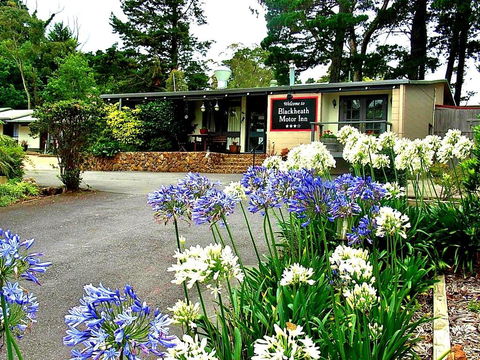 Blackheath Motor Inn - Whitsundays Accommodation 0