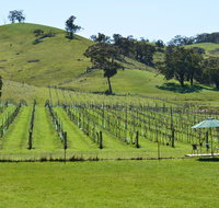 Blue House at Mountainside Wines - Whitsundays Accommodation