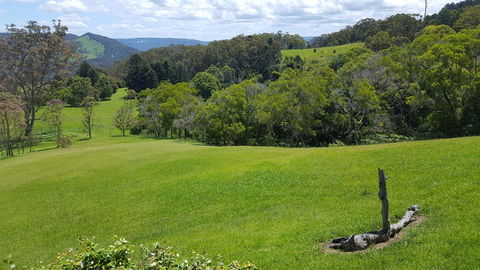 Blue Summit Cottages - Whitsundays Accommodation 3