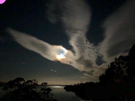 Blue Waters Holiday Cottages - Whitsundays Accommodation 2