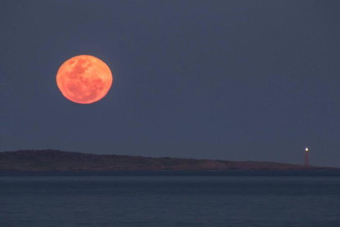 Blue Waters Holiday Cottages - Whitsundays Accommodation 1