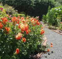 Boat Harbour Garden Cottages - Whitsundays Accommodation