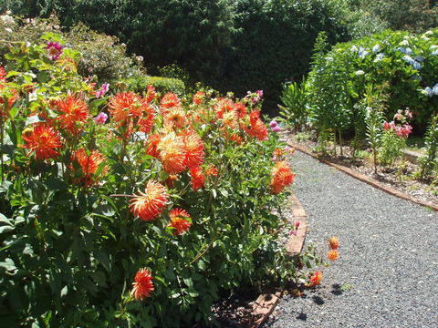 Boat Harbour Garden Cottages - Whitsundays Accommodation 0