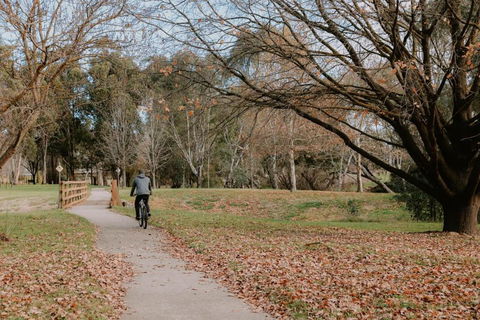 Tiny Boorowa By Tiny Away - Whitsundays Accommodation 2