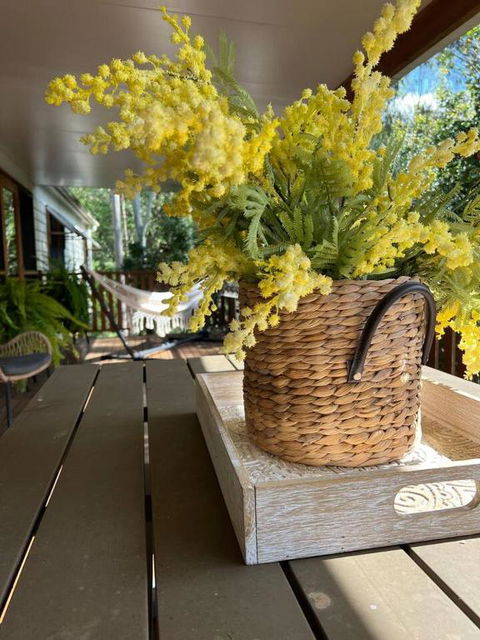 Wattle Bush Retreat - Whitsundays Accommodation 1