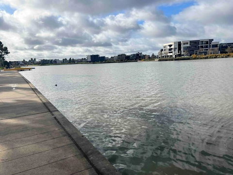 Yay! Enjoy An Entire House - Quiet, Spacious And Beautiful Stay In Melbourne - Whitsundays Accommodation 2