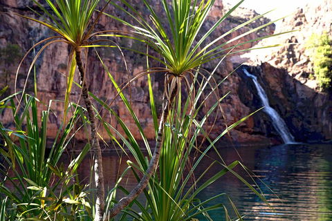 3-Day Kakadu 4WD Camping Safari From Darwin - Whitsundays Accommodation 2