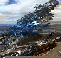 kunanyi / Mt Wellington Explorer Bus - 2 Hour Return Tour - Whitsundays Accommodation