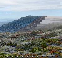 kunanyi/Mt Wellington Explorer Bus - One Way Tour - Whitsundays Accommodation