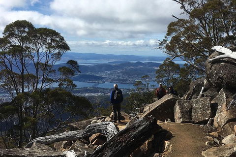 Kunanyi/Mt Wellington Explorer Bus - One Way Tour - Whitsundays Accommodation 2