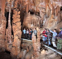 Private Tour Jenolan Caves  Blue Mountains in a day - Whitsundays Accommodation