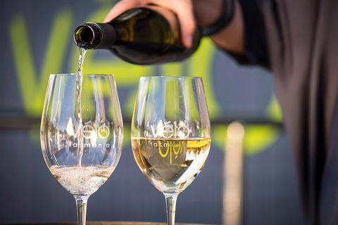 Full Day Tamar Valley Wine Tour - Whitsundays Accommodation 2