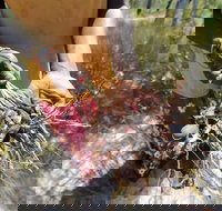 Gay-Wu Woman's 5 Day Yolngu Homeland Tour - Whitsundays Accommodation