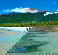 5-Day Best of Cairns with Daintree Kuranda and Great Barrier Reef - Whitsundays Accommodation