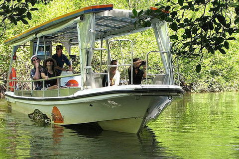 5-Day Best Of Cairns With Daintree, Kuranda, And Great Barrier Reef - Whitsundays Accommodation 1