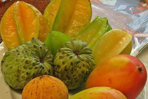 Cairns 4WD Waterfall And Rainforest Tour Including Kuranda Scenic Railway - Whitsundays Accommodation 4